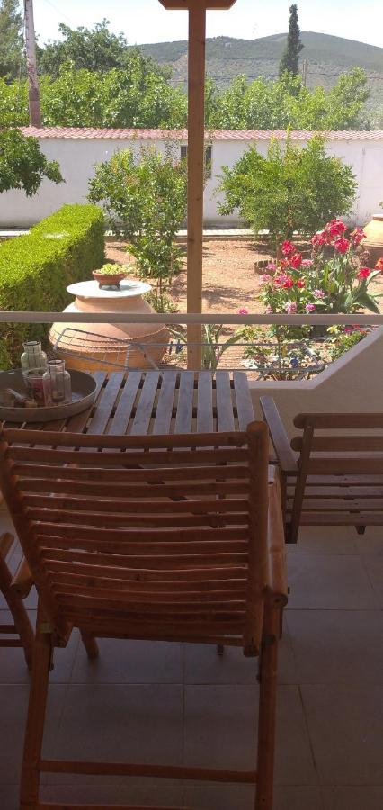 Δωματια Ξανθουλα Xanthoyla Rooms Amaliápoli Dış mekan fotoğraf